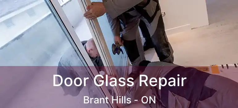  Door Glass Repair Brant Hills - ON