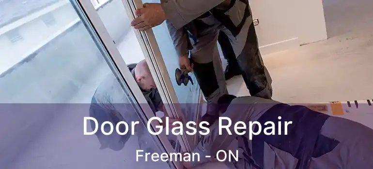  Door Glass Repair Freeman - ON