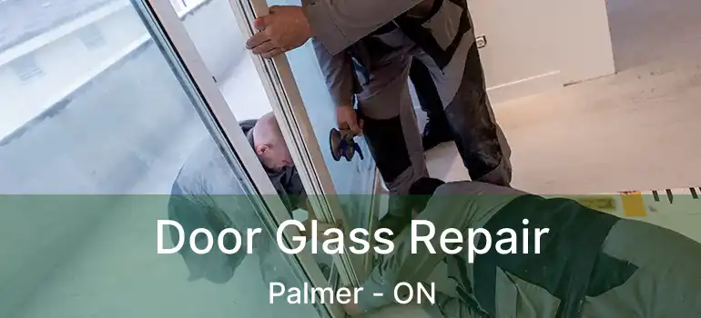  Door Glass Repair Palmer - ON
