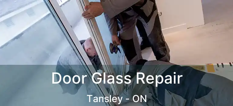  Door Glass Repair Tansley - ON