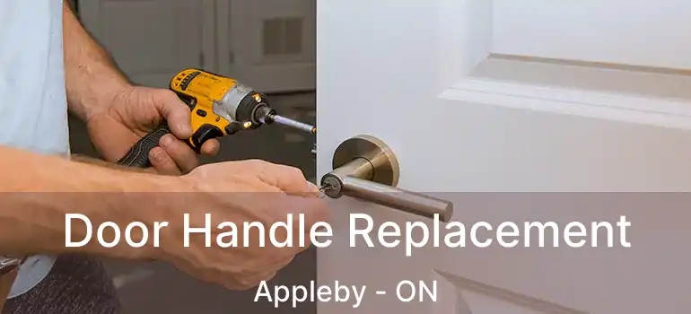  Door Handle Replacement Appleby - ON