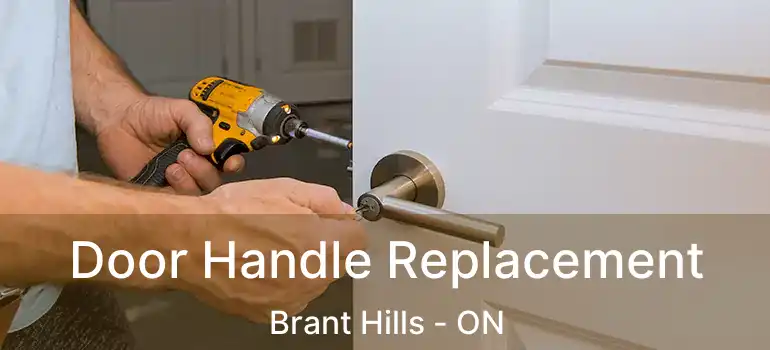  Door Handle Replacement Brant Hills - ON