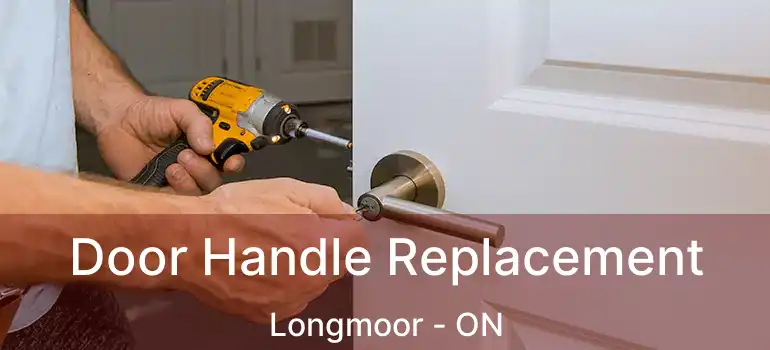  Door Handle Replacement Longmoor - ON