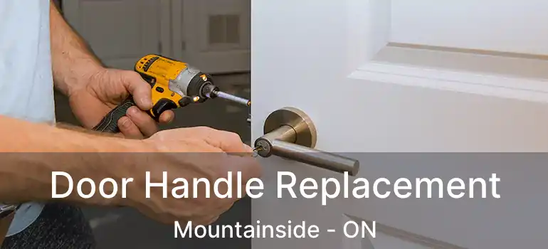  Door Handle Replacement Mountainside - ON