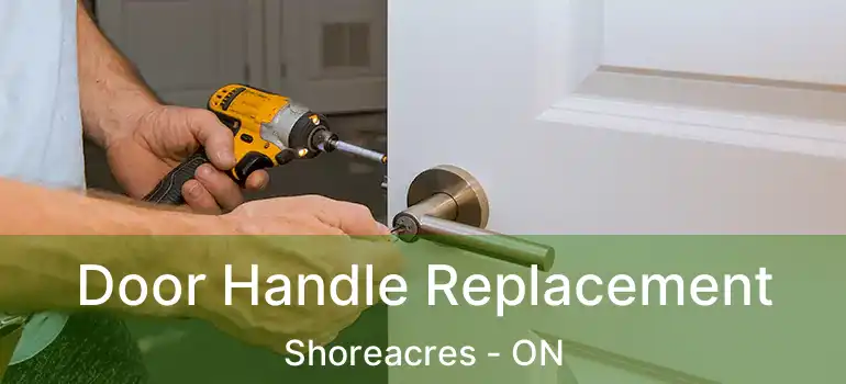  Door Handle Replacement Shoreacres - ON