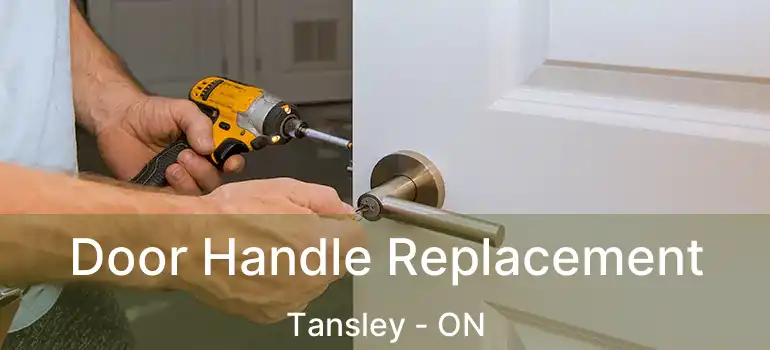  Door Handle Replacement Tansley - ON