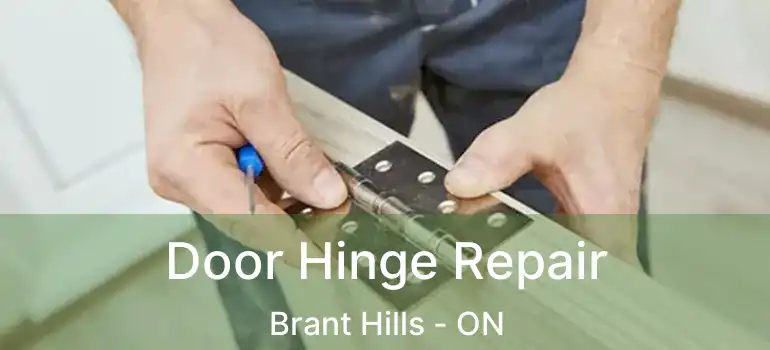  Door Hinge Repair Brant Hills - ON