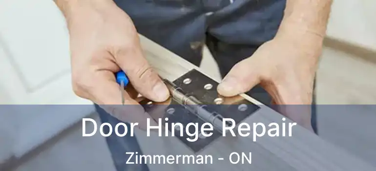  Door Hinge Repair Zimmerman - ON