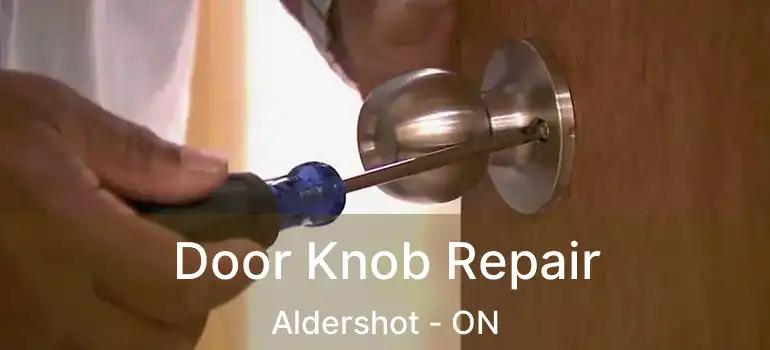  Door Knob Repair Aldershot - ON