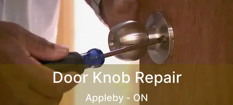  Door Knob Repair Appleby - ON
