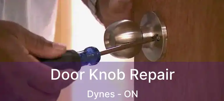  Door Knob Repair Dynes - ON