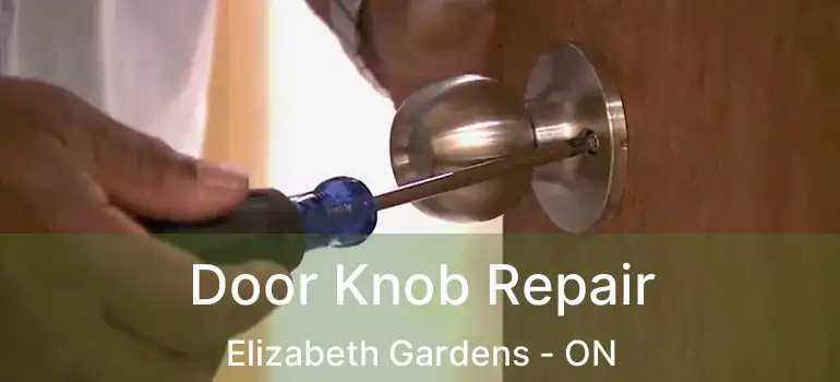  Door Knob Repair Elizabeth Gardens - ON