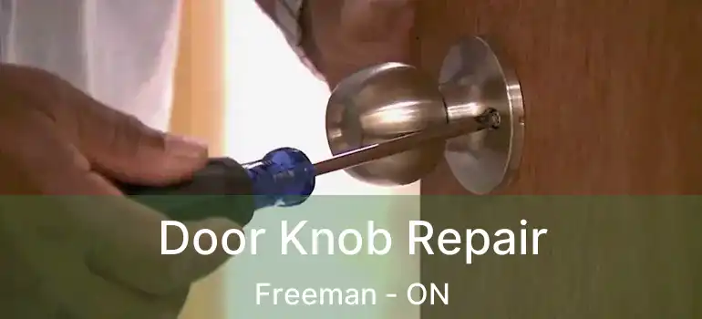  Door Knob Repair Freeman - ON