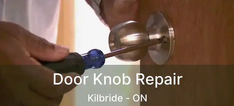  Door Knob Repair Kilbride - ON