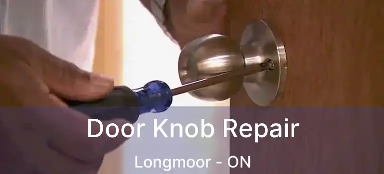  Door Knob Repair Longmoor - ON