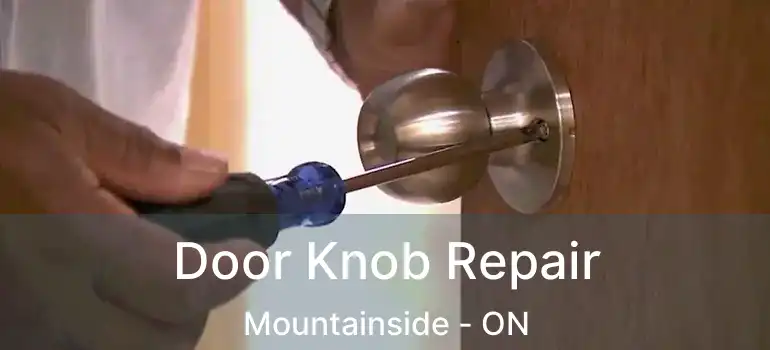  Door Knob Repair Mountainside - ON
