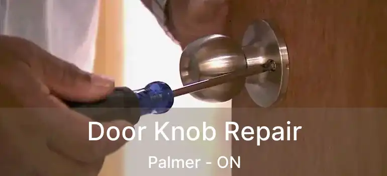  Door Knob Repair Palmer - ON