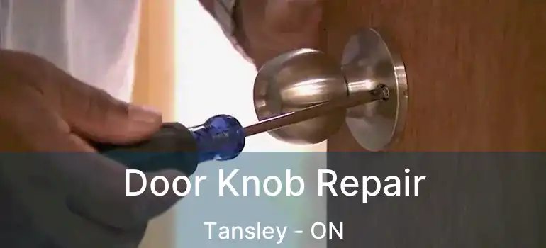  Door Knob Repair Tansley - ON