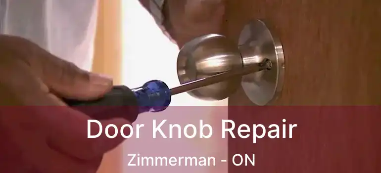  Door Knob Repair Zimmerman - ON
