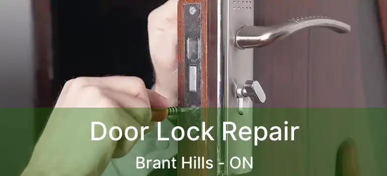  Door Lock Repair Brant Hills - ON