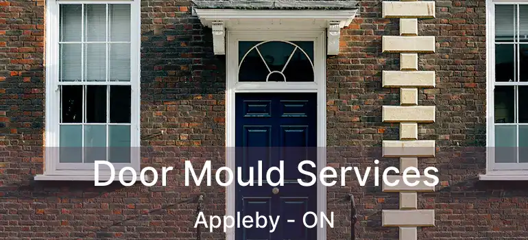  Door Mould Services Appleby - ON