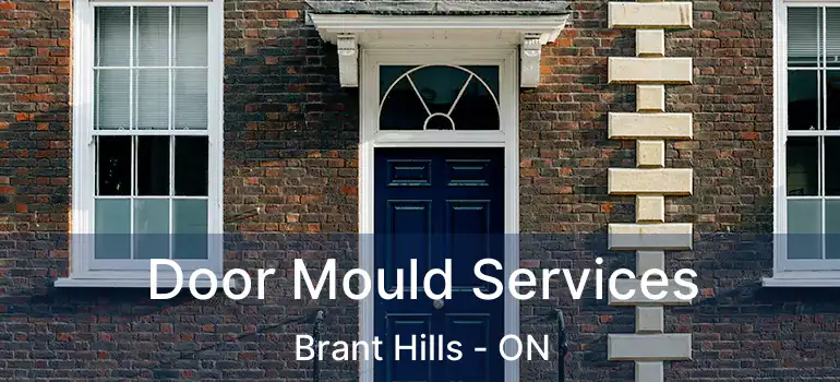  Door Mould Services Brant Hills - ON