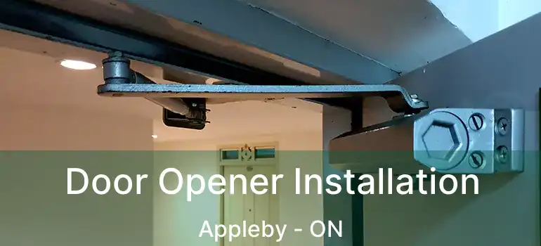 Door Opener Installation Appleby - ON