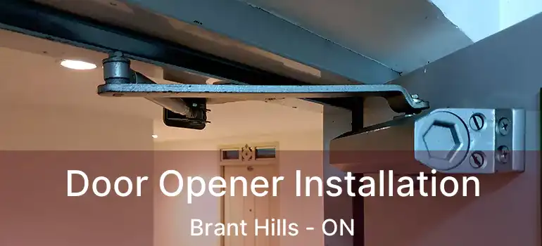  Door Opener Installation Brant Hills - ON