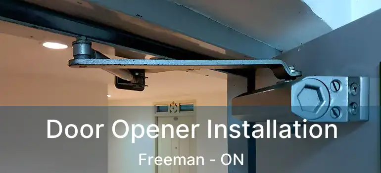  Door Opener Installation Freeman - ON