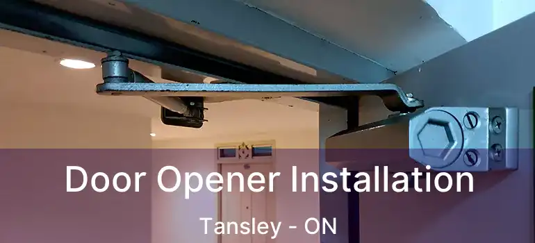  Door Opener Installation Tansley - ON