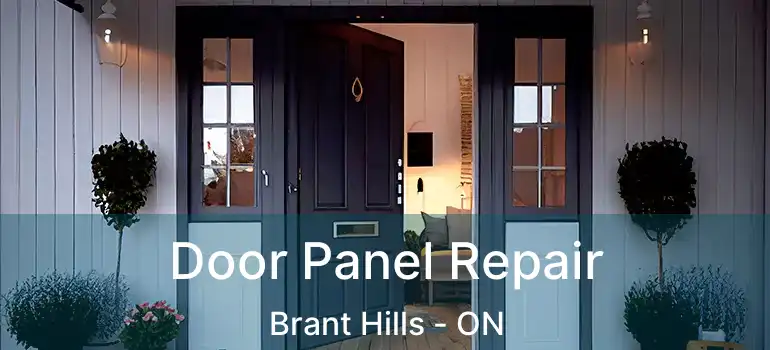  Door Panel Repair Brant Hills - ON