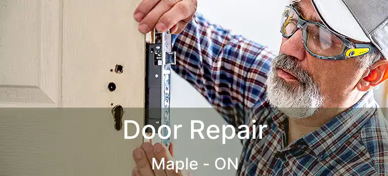  Door Repair Maple - ON