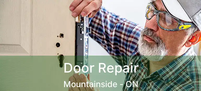  Door Repair Mountainside - ON