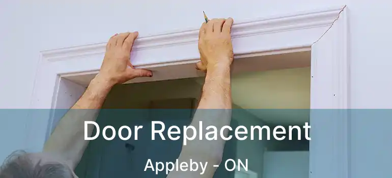  Door Replacement Appleby - ON