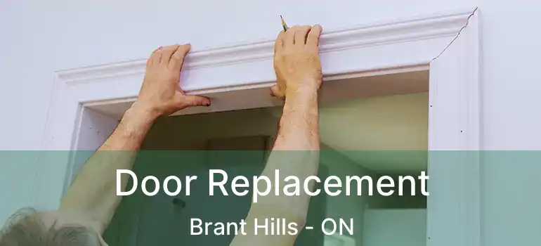  Door Replacement Brant Hills - ON