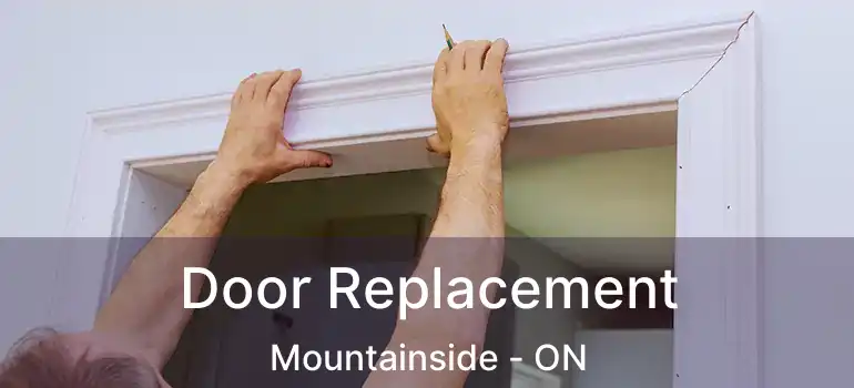  Door Replacement Mountainside - ON