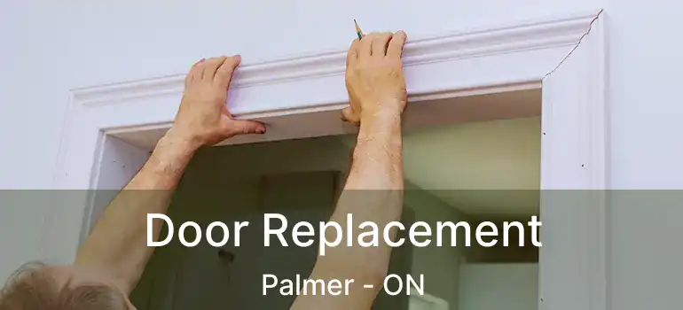 Door Replacement Palmer - ON