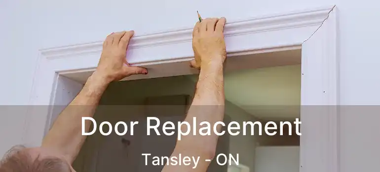  Door Replacement Tansley - ON