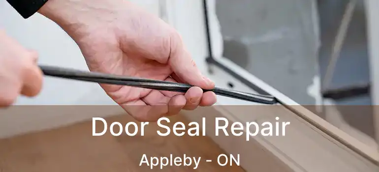  Door Seal Repair Appleby - ON