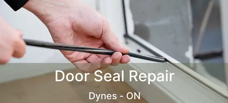  Door Seal Repair Dynes - ON