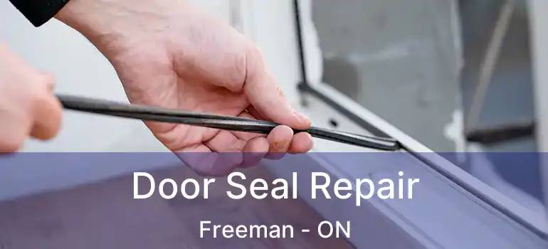  Door Seal Repair Freeman - ON