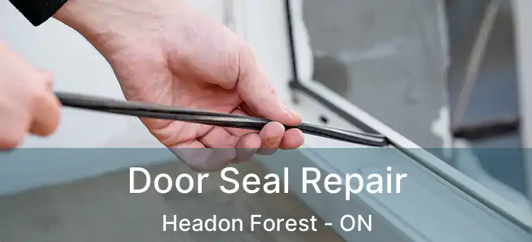  Door Seal Repair Headon Forest - ON