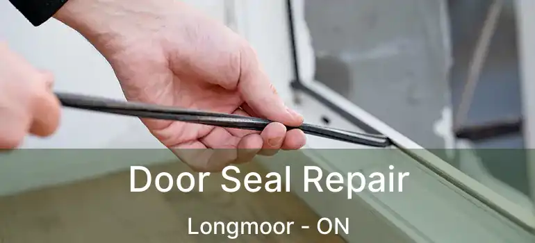  Door Seal Repair Longmoor - ON