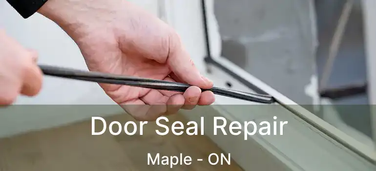  Door Seal Repair Maple - ON
