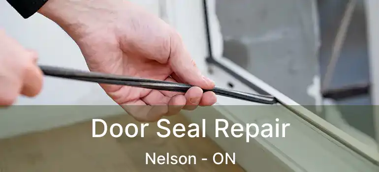  Door Seal Repair Nelson - ON