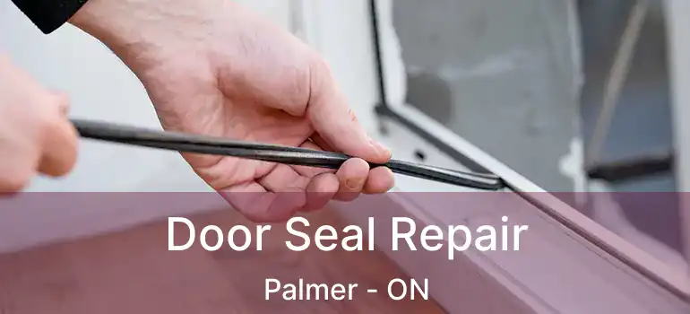  Door Seal Repair Palmer - ON