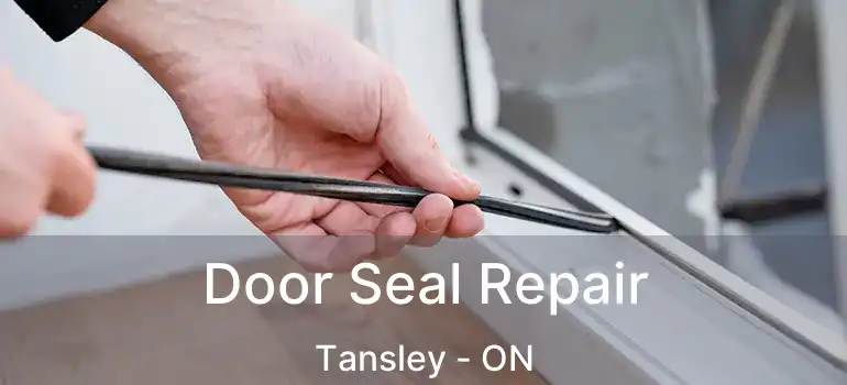  Door Seal Repair Tansley - ON