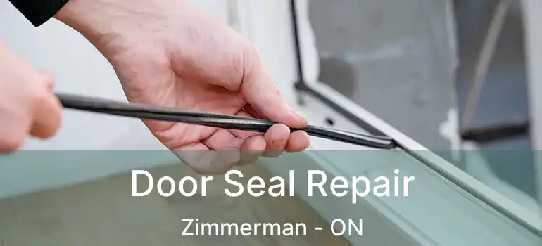  Door Seal Repair Zimmerman - ON