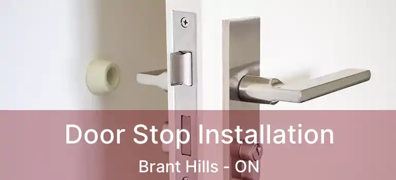  Door Stop Installation Brant Hills - ON