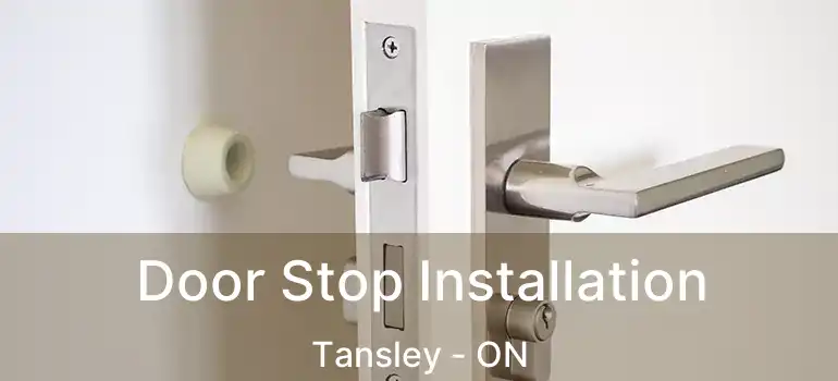  Door Stop Installation Tansley - ON